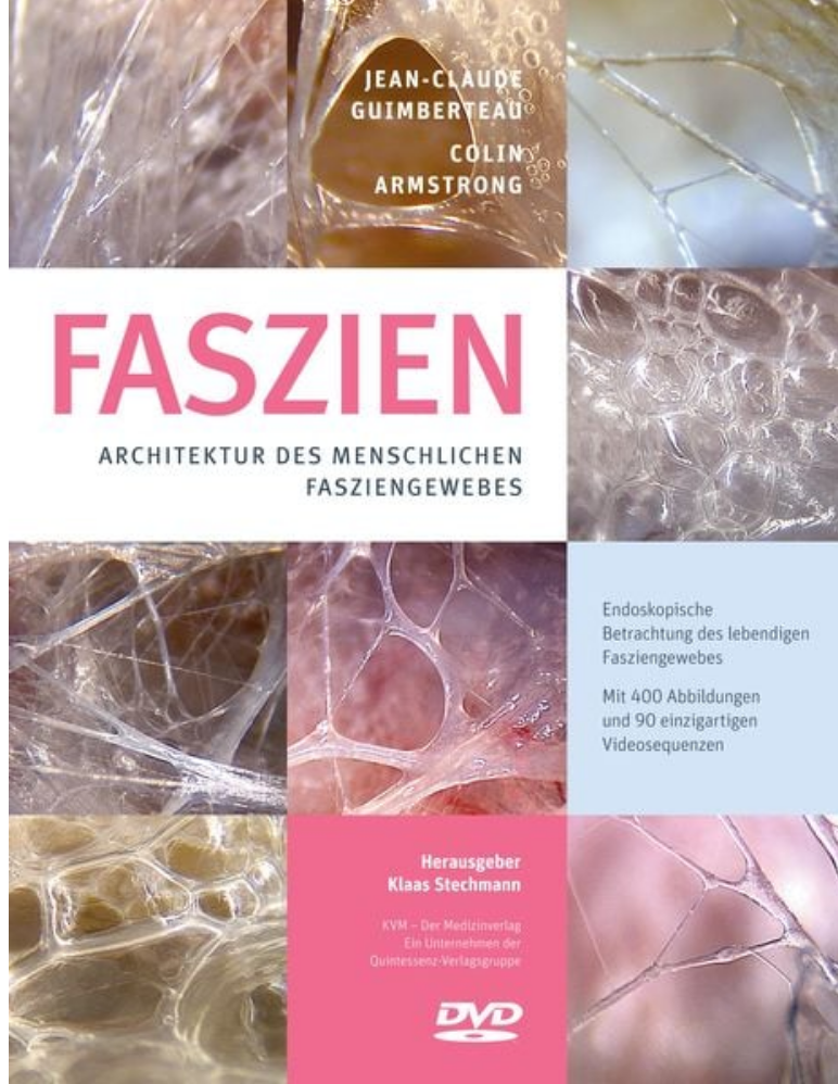 Faszien – Architektur des menschlichen Fasziengewebes