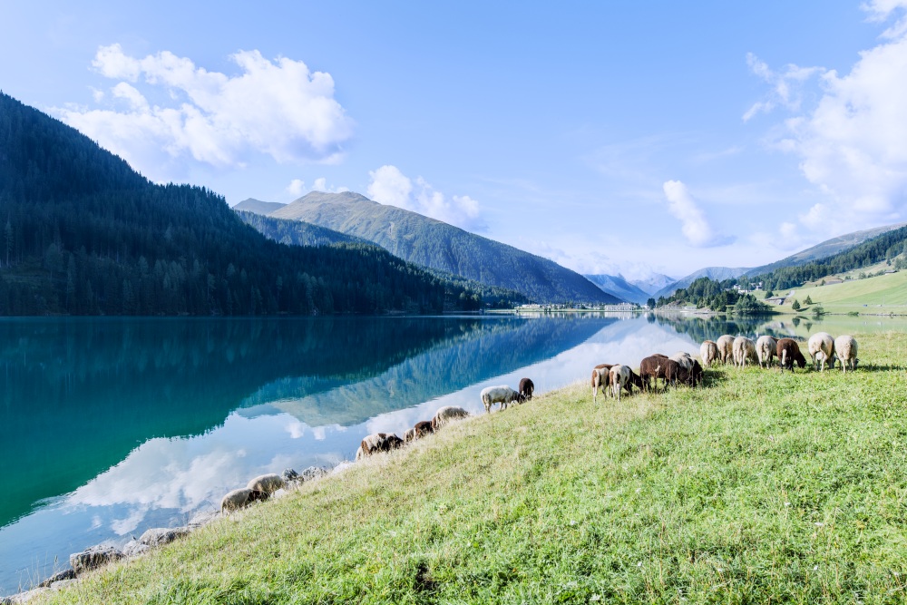 Idylische Berglandschaft am See von Davos